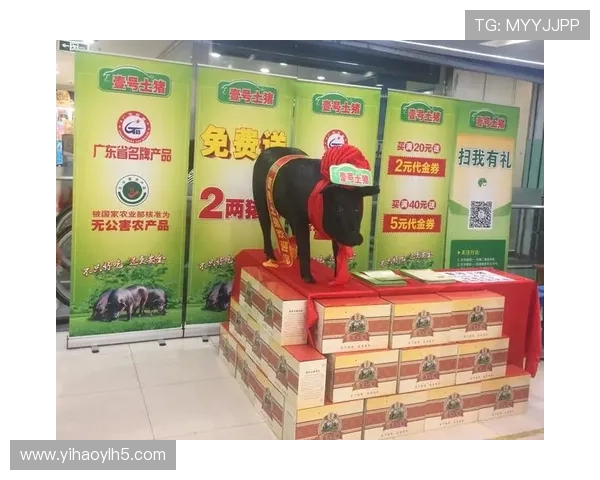 壹号官网：获取壹号官方最新促销活动与客户服务信息