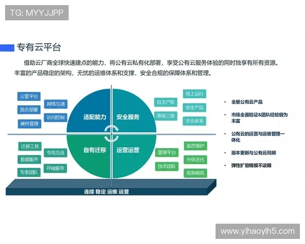 壹号网络科技：在云计算与大数据时代下的战略布局与未来发展方向